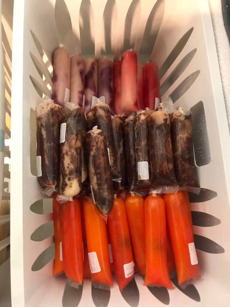 WhatsApp Image 2024-01-09 at 5.19.07 PM